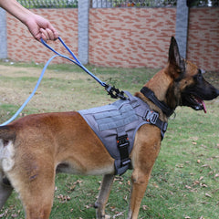 Pawlio™ Tactical K9 Harness with heavy-duty MOLLE vest, adjustable straps, and reinforced material for working dogs.