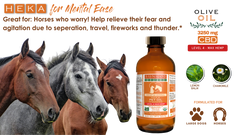 Organic Harmony Hemp Oil for Large Pets by Pawlio, max strength, showing a bottle of hemp oil with a pet-friendly label and dropper cap.
