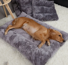 Soft plush pet bed by Pawlio featuring a cozy, cushioned design with raised edges for comfort and support.
