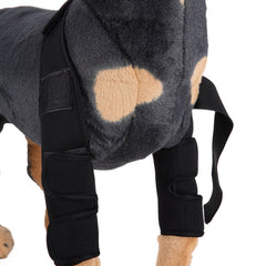 Pawlio Pup's knee guard and leg support for recovery, showing a soft, adjustable brace on a small dog's leg.