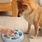 Pawlio™ interactive dog puzzle toy with compartments for treats, designed to boost a dog’s IQ and mental engagement