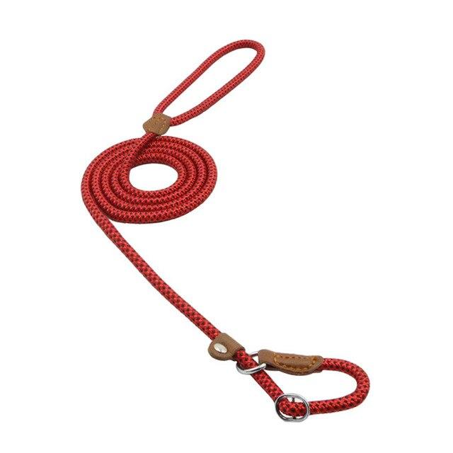 Nylon Pup Set by Pawlio featuring a durable nylon leash and collar with playful paw print design for small dogs.