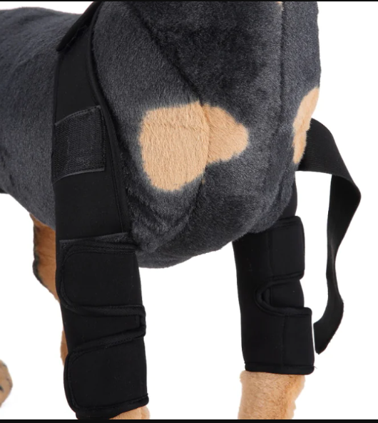 Pawlio Pup's knee guard and leg support for recovery, featuring adjustable straps and breathable material for canine injury support.