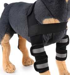 Pawlio Pup's knee guard and leg support for recovery, featuring adjustable straps and breathable material for comfortable fit.