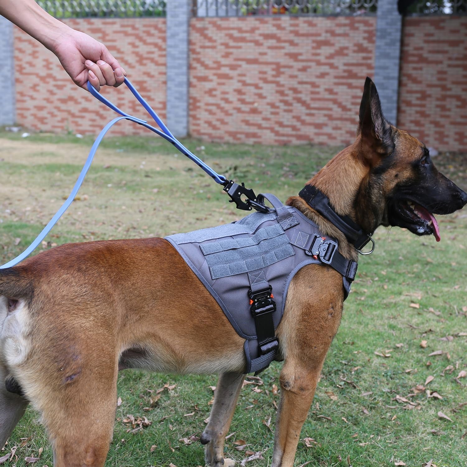 Pawlio™ Tactical K9 Harness with heavy-duty MOLLE vest, adjustable straps, and reinforced material for working dogs.