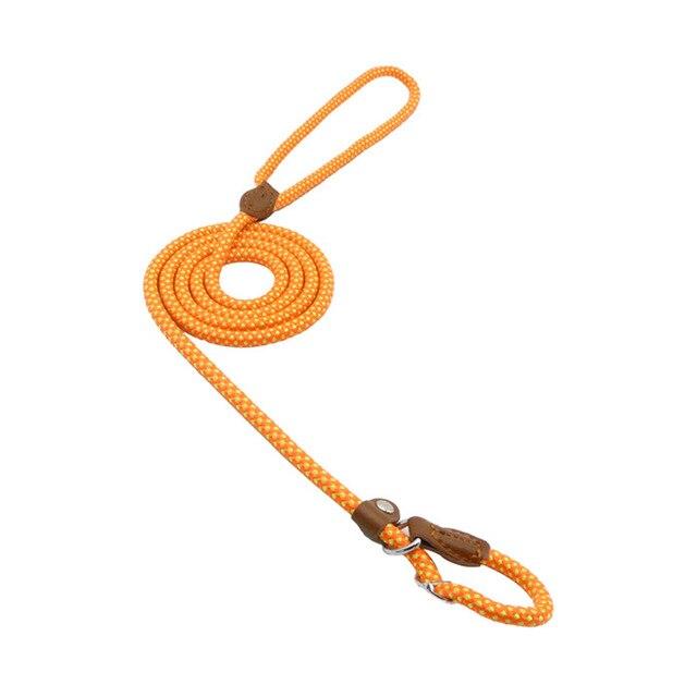 Nylon Pup Set by Pawlio featuring a durable nylon leash and collar for small dogs, with colorful design and adjustable fit.