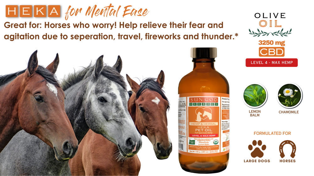 Organic Harmony Hemp Oil for Large Pets by Pawlio, max strength, showing a bottle of hemp oil with a pet-friendly label and dropper cap.