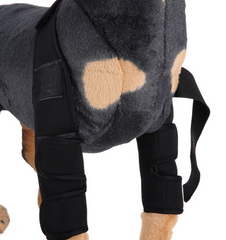 Pawlio Pup's knee guard and leg support for recovery, featuring adjustable straps and breathable material for comfortable fit.