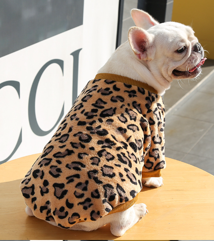 Cozy Canine Pajama Jacket by Pawlio featuring soft fabric and a snug fit for small dogs, perfect for keeping pets warm and comfortable.