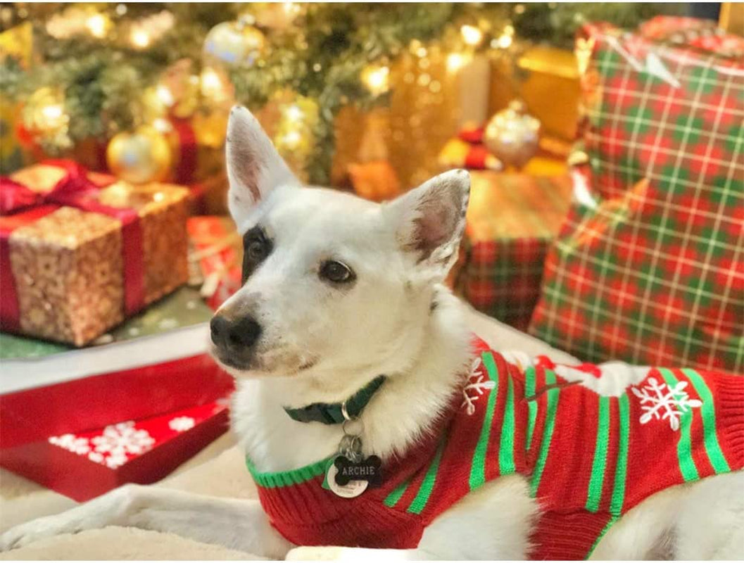 Pawlio™ festive snowman pet sweater with holiday design, cozy holiday apparel for small dogs and cats, winter pet clothing