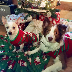 Pawlio™ Festive Snowman Sweater for pets, cozy holiday pet apparel with snowman design and festive colors.
