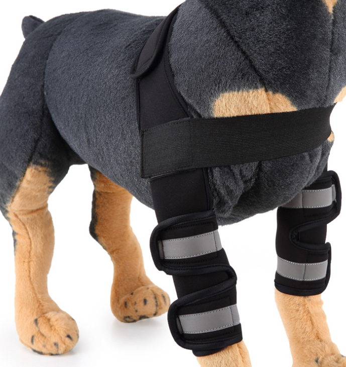 Pawlio Pup's knee guard and leg support for injury recovery, showing adjustable straps and padded design for comfort.