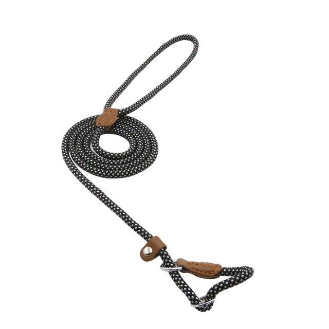 Nylon pup set by Pawlio featuring a durable collar and leash with playful design for small dogs.
