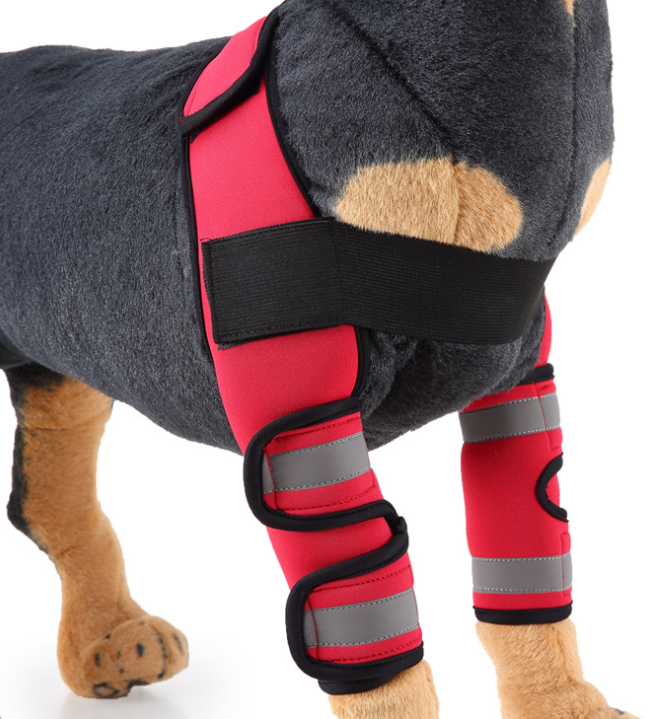 Pawlio Pup's knee guard and leg support for recovery, shown on a small dog's leg, made of breathable, adjustable material.