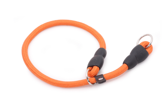 Durable Nylon Dog Training Collar for All Breeds (Single)
