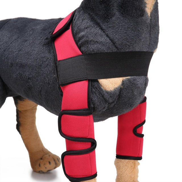 Pawlio Pup's knee guard and leg support for recovery, showing a soft adjustable brace on a dog's leg for injury relief.