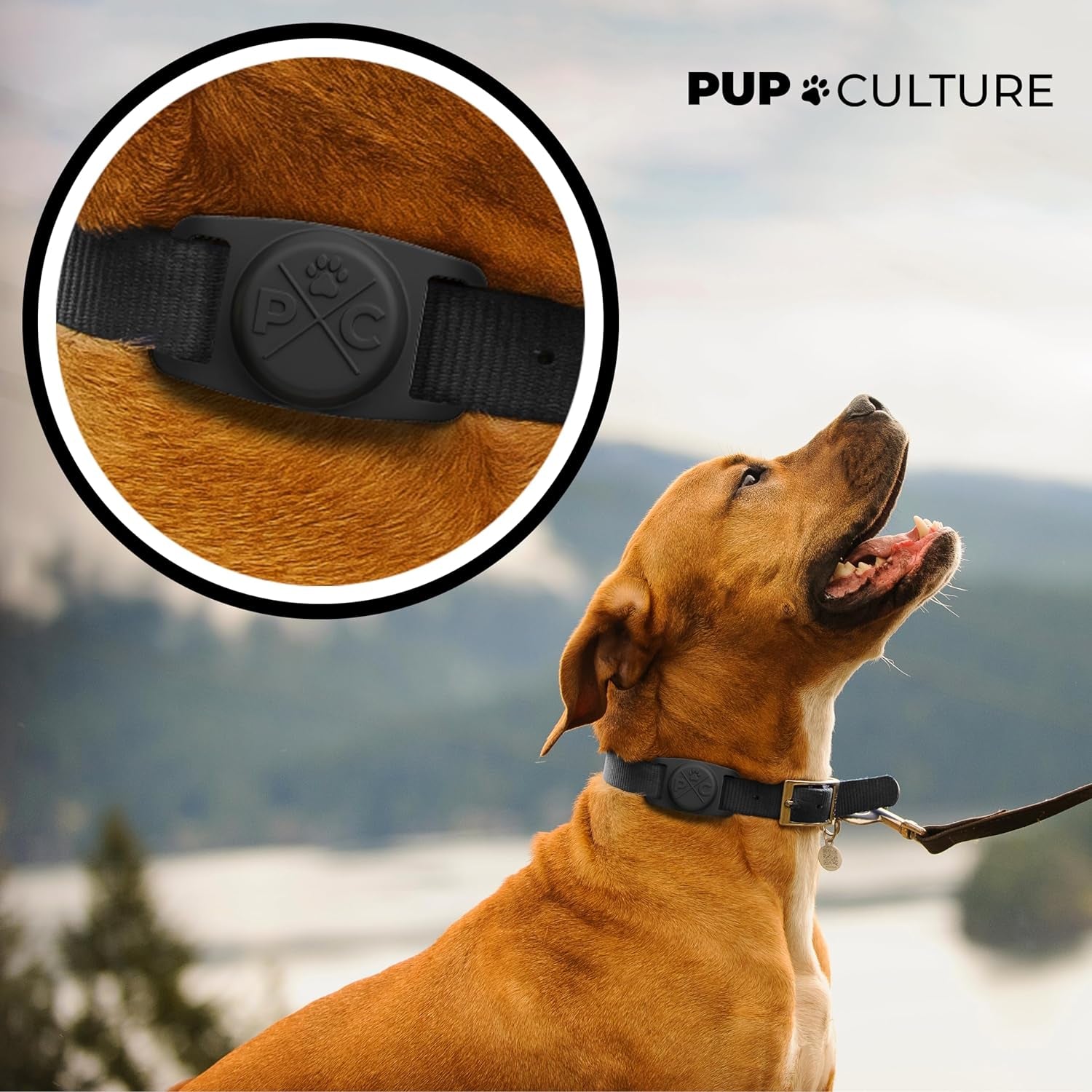 Pawlio™ Protective Apple AirTag Dog Collar with secure buckle and adjustable strap, designed for pet tracking and safety.