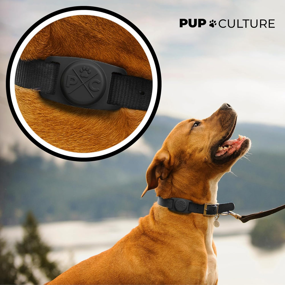 Pawlio™ Protective Apple AirTag Dog Collar with secure buckle and adjustable strap, designed for pet tracking and safety.