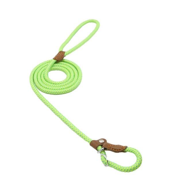 Nylon Pup Set by Pawlio featuring a durable leash and collar with colorful patterns for small dogs.