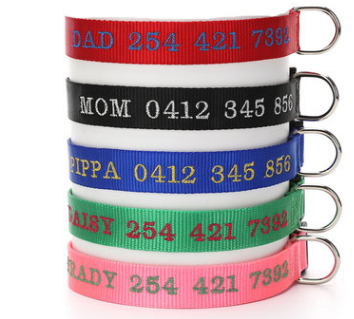 Dog Collar with Anti-Loss and Embroidered Design