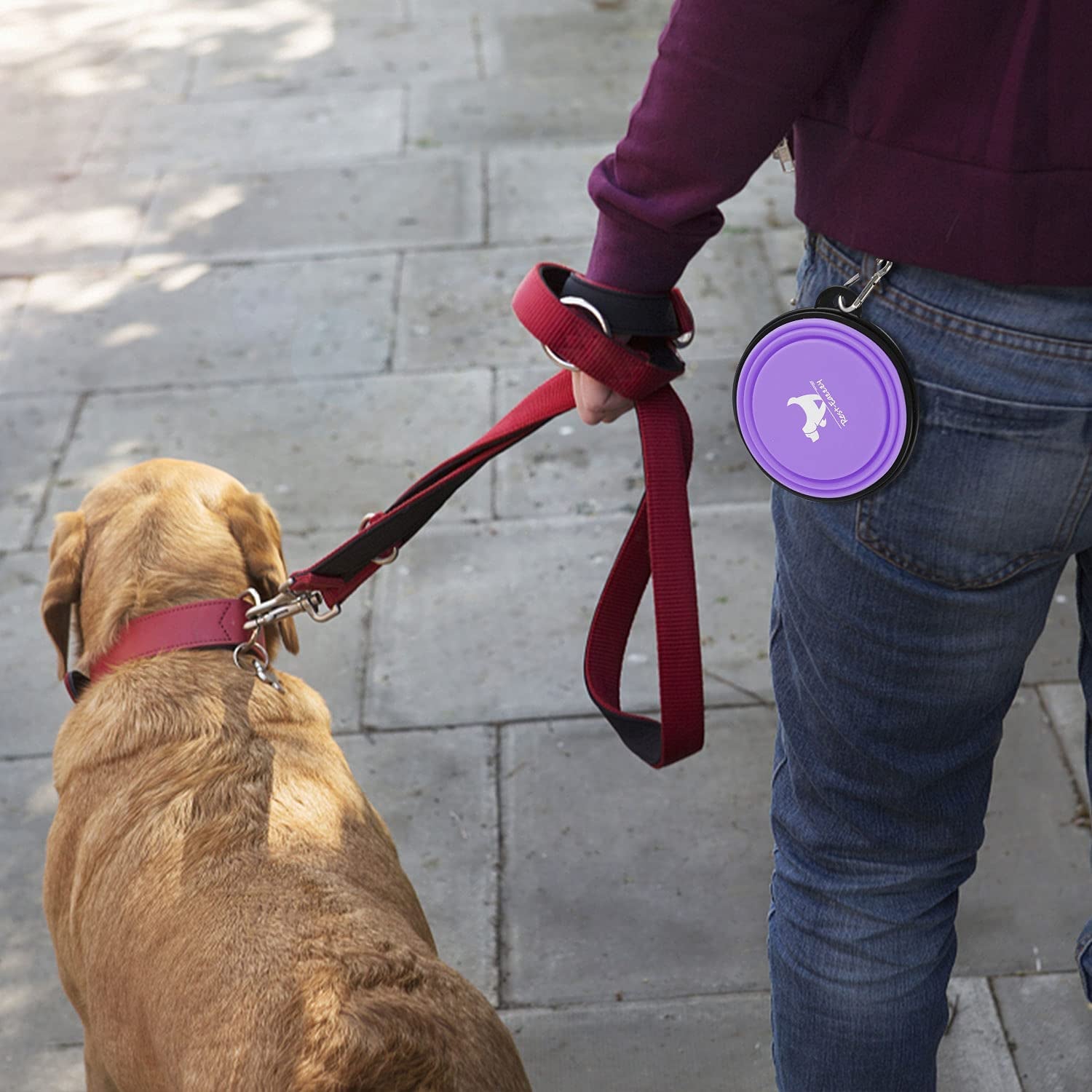 Pawlio™ Collapsible Portable Pet Bowls set of two, travel-friendly silicone bowls for pets, shown folded and expanded.