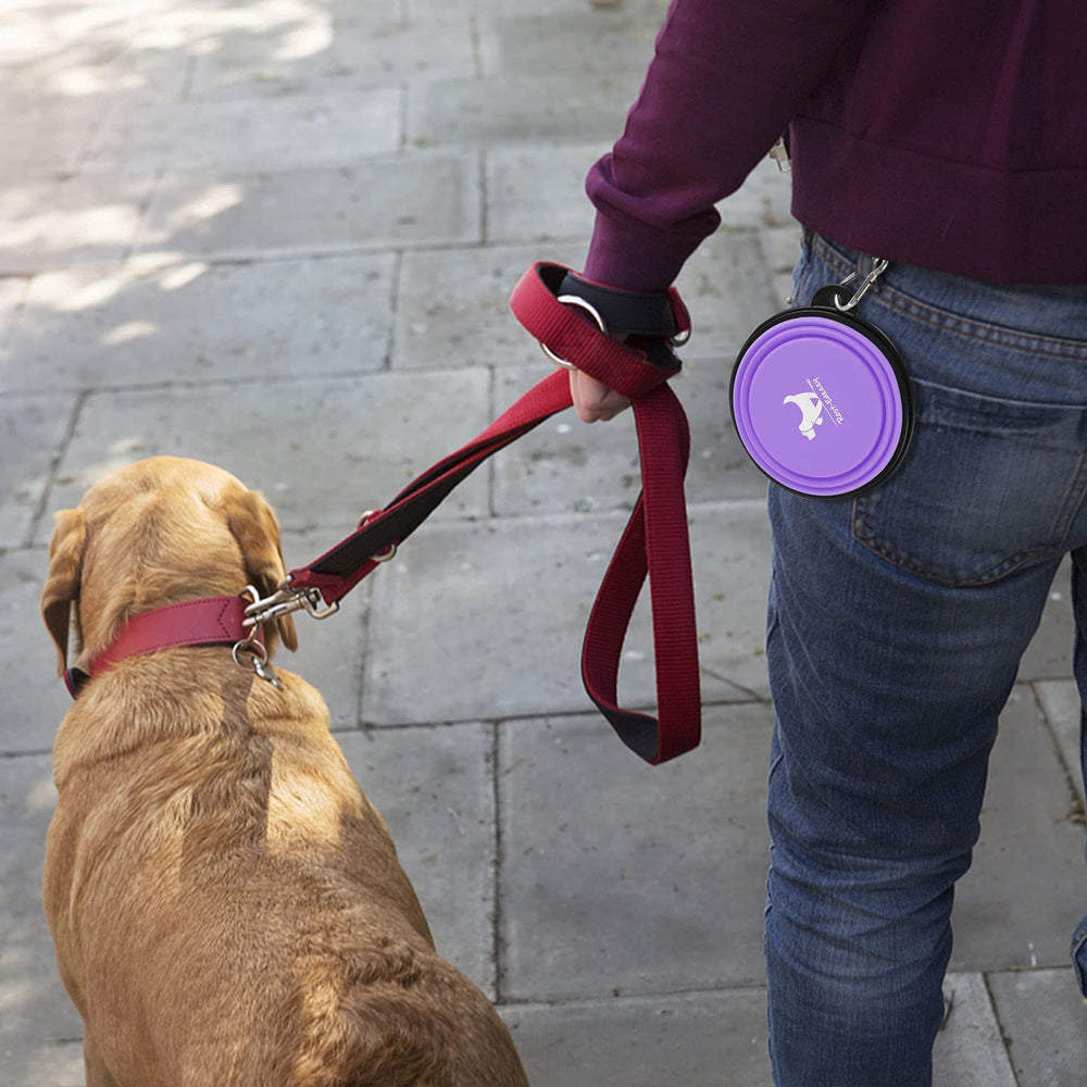 Pawlio™ Collapsible Portable Pet Bowls set of two, travel-friendly silicone bowls for pets, shown folded and expanded.