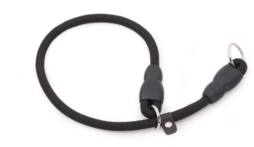 Durable Nylon Dog Training Collar for All Breeds (Single)