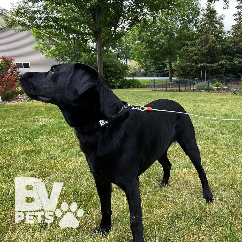 Pawlio™ heavy-duty 25ft dog tie out cable with tangle-free design, durable metal clips, and reinforced nylon coating for outdoor use.