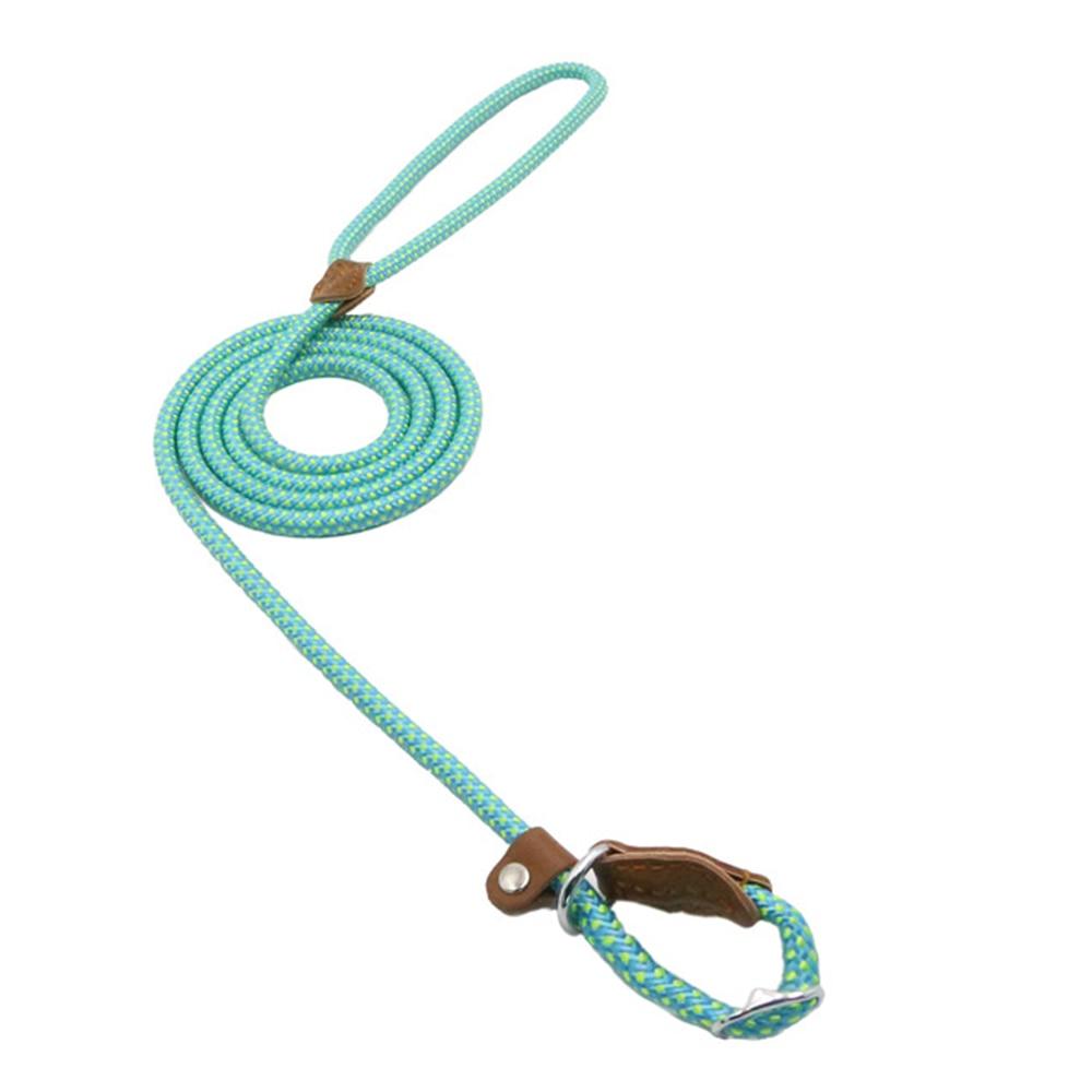 Nylon Pup Set by Pawlio featuring a durable nylon leash and collar with playful paw print design for small dogs.