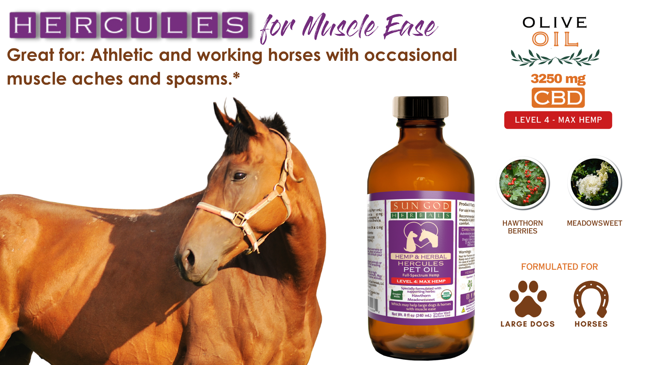 Pawlio Organic Hercules Muscle Relief Hemp Pet Oil for horses and large dogs, featuring hemp extract for muscle support.