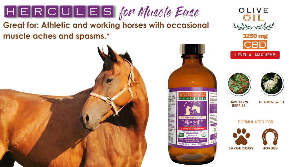 Pawlio Organic Hercules Muscle Relief Hemp Pet Oil for horses and large dogs, featuring hemp extract for muscle support.