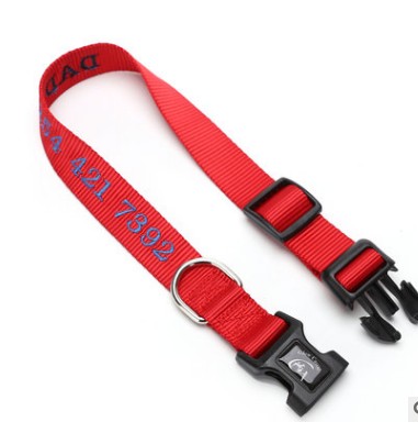 Dog Collar with Anti-Loss and Embroidered Design