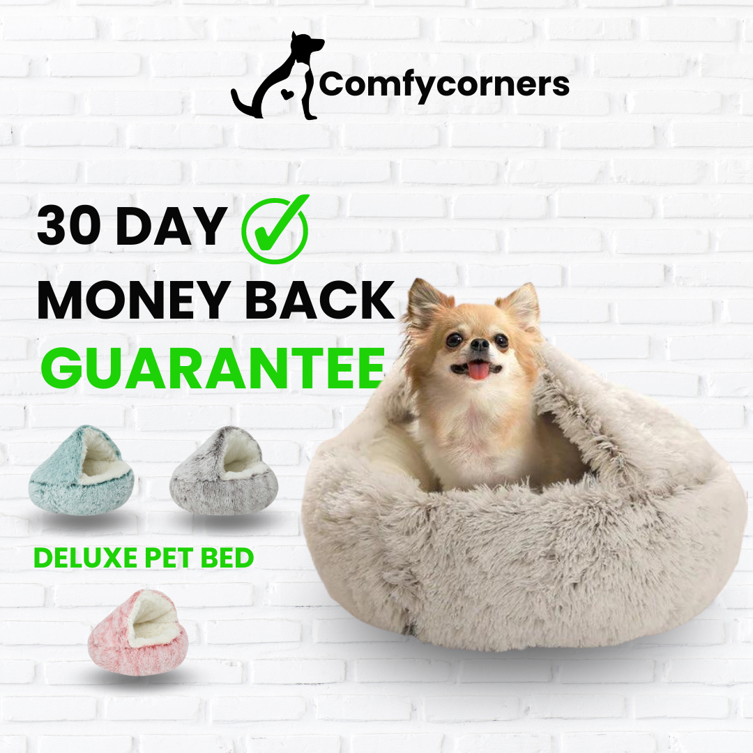 Pawlio Deluxe Pet Bed with soft cushioning and cozy fabric, ideal for small to medium-sized dogs or cats.