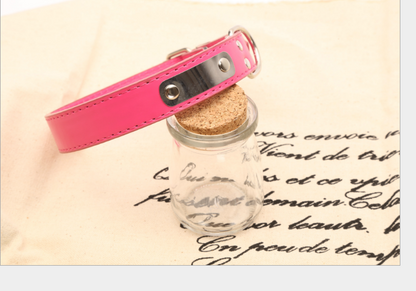 Personalized Dog Collar - Pet Accessories