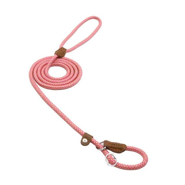 Nylon Pup Set by Pawlio featuring a durable nylon leash and collar with colorful paw print patterns for dogs.