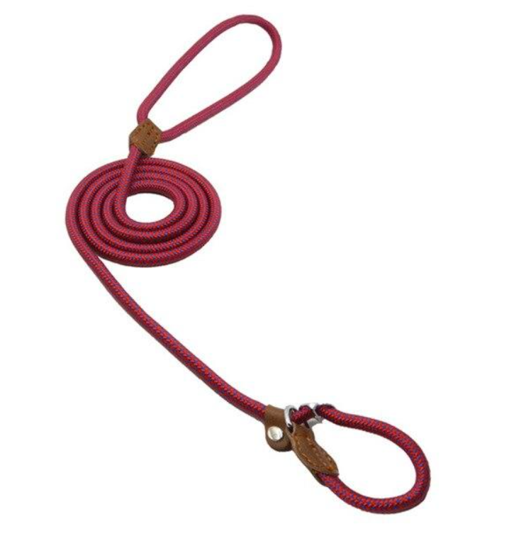 Nylon Pup Set by Pawlio featuring a durable nylon leash and collar with playful design for small dogs.