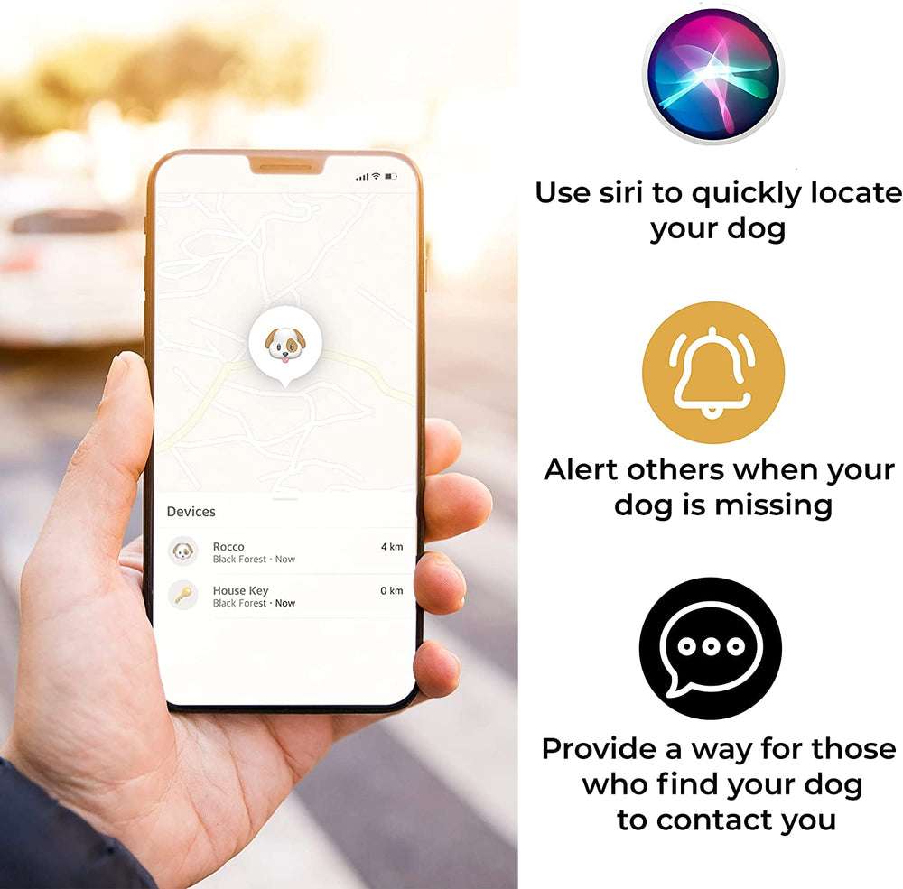 Pawlio™ protective dog collar with built-in Apple AirTag holder, adjustable nylon strap, and secure buckle for pet tracking.