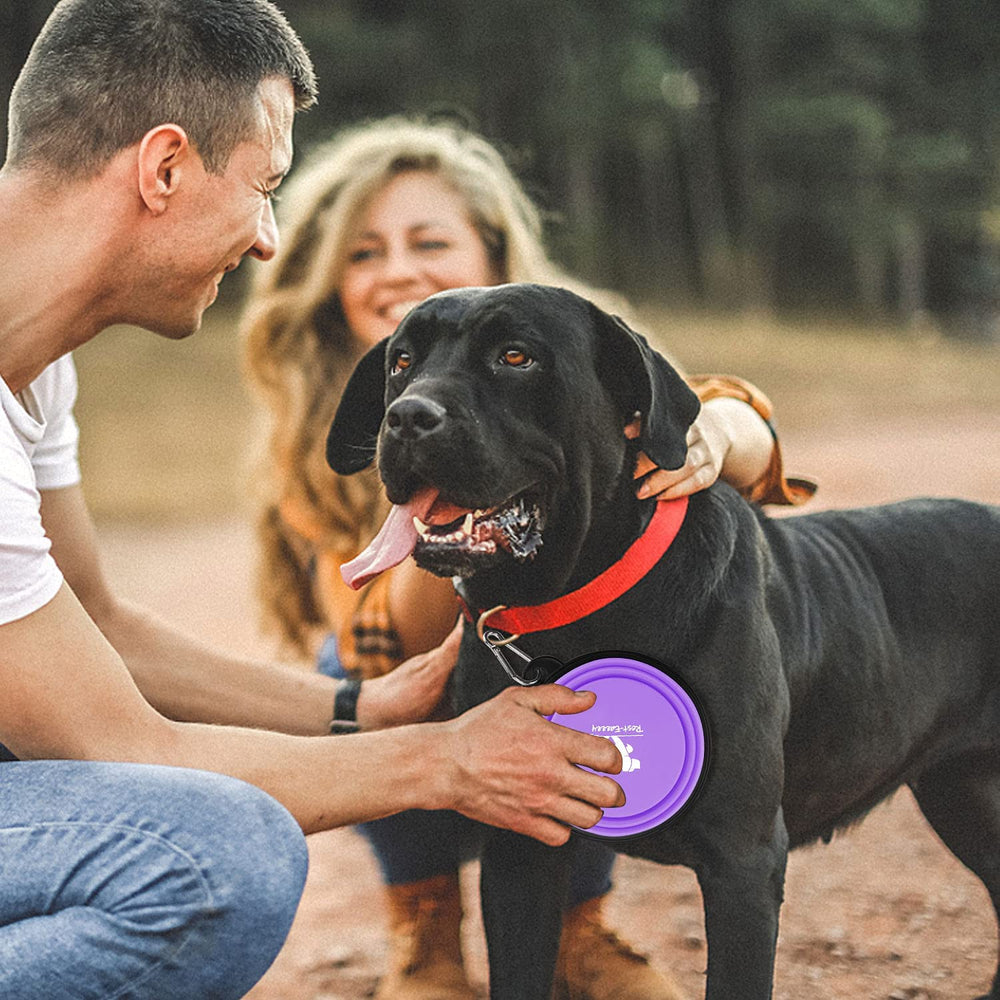 Pawlio™ Collapsible Portable Pet Bowls 2-pack, travel-ready dog and cat bowls with compact, foldable design for on-the-go feeding.