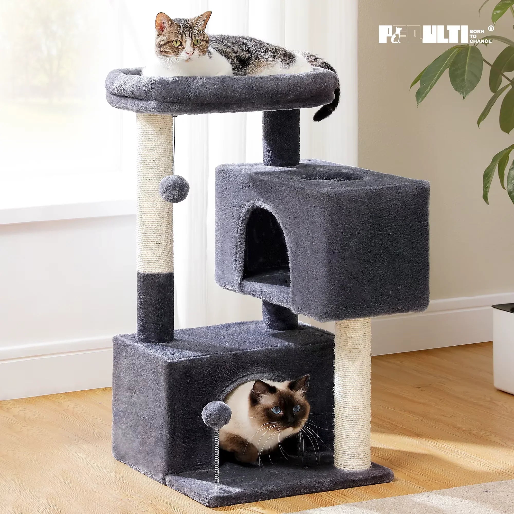 Large cat climbing tree by Pawlio™ with multiple levels and cozy platforms for spacious indoor activity and play.