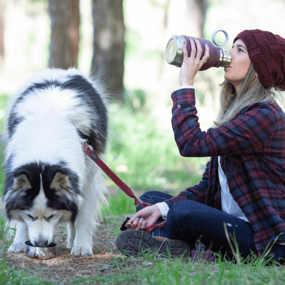 Pawlio™ 3-in-1 pet travel bottle with water, food, and bowl system for convenient pet on-the-go hydration and feeding.