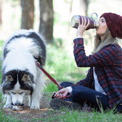 Pawlio™ 3-in-1 pet travel bottle with water, food, and bowl system for convenient pet on-the-go hydration and feeding.
