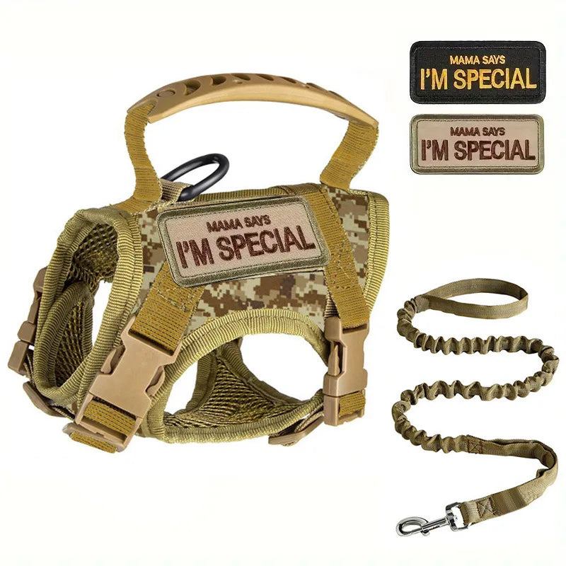 Tactical Escape Proof Cat Harness & Leash Set