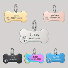 Personalized engraved bone-shaped pet ID tag for dogs and cats with name and phone number, high-quality Pawlio pet pendant.