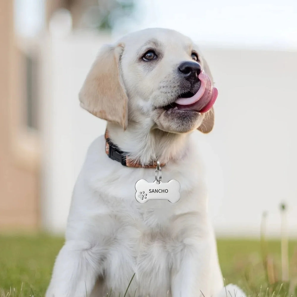 Bone-shaped engraved dog and cat pet tags with name and phone number, personalized Pawlio pet identification pendant