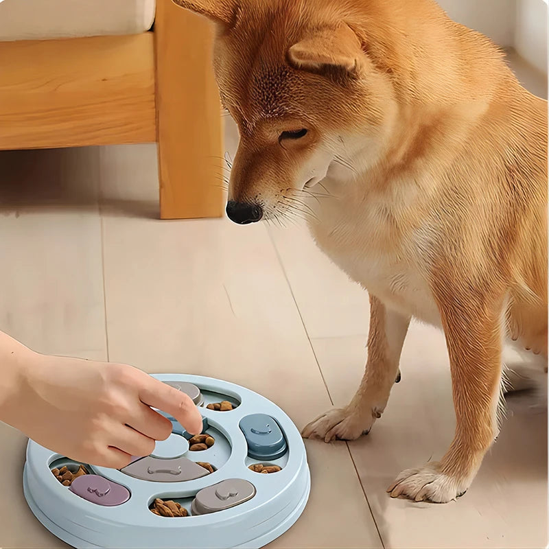Pawlio™ interactive dog puzzle toy with compartments for treats, designed to boost a dog’s IQ and mental engagement