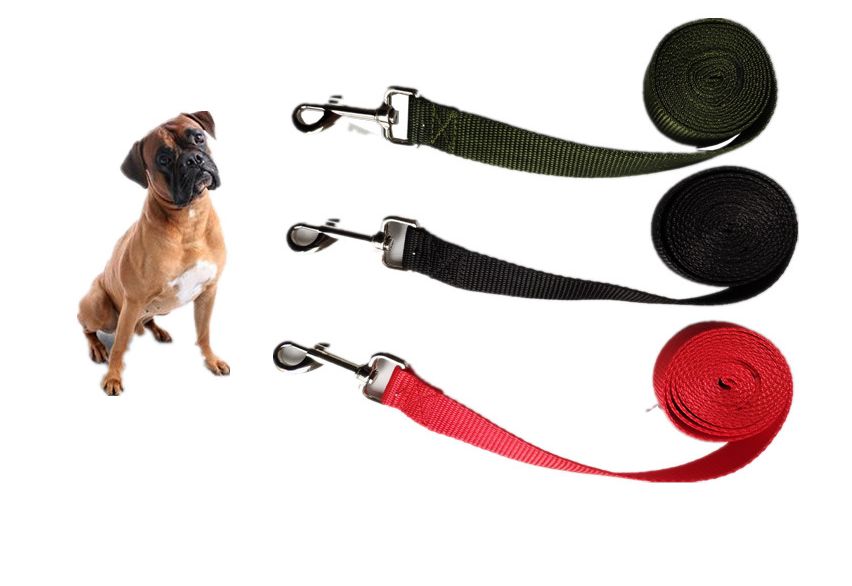 Pawlio 2.5cm wide long dog rope leash with durable nylon material, featuring a metal clip for secure attachment.