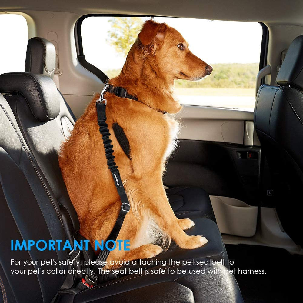 Pawlio™ 2-pack retractable pet car seat belts with shock-absorbing safety features, adjustable for secure pet travel.