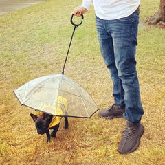 Pawlio™ Stylish Dog Umbrella providing waterproof protection during rainy walks, with a compact design and adjustable handle.