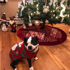 Pawlio™ Festive Snowman Sweater for pets, cozy holiday pet apparel featuring a snowman design on soft fabric.