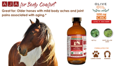 Soothing Hemp Harmony Pet Oil for Large Animals